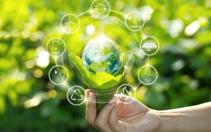 Chuyển đổi kinh tế xanh tại Việt Nam năm 2024 và xu hướng năm 2025
